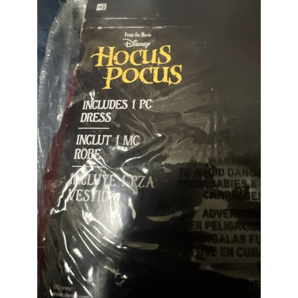 Disney Hocus Pocus Mary Sanderson Halloween Costume Dress Childs Large - Picture 5 of 5